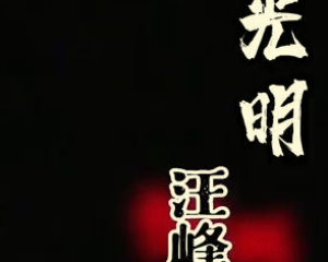 《光明》-汪峰短视频颇具正能量歌曲