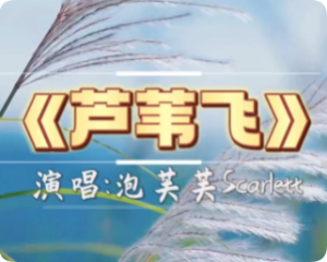 《芦苇飞》泡芙芙Scarlett【mp3+flac-320k】快手流行音乐