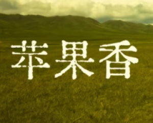 《苹果香》樊小梅