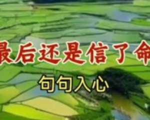 《最后还是信了命》-刘阳阳flac无损音乐在线试听