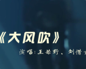 《大风吹》Live版-刘惜君/王赫野-天赐的声音第二季