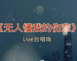 《无人能懂的伤悲》-黎梦鸽【LRC歌词/mp3/无损音乐flac】