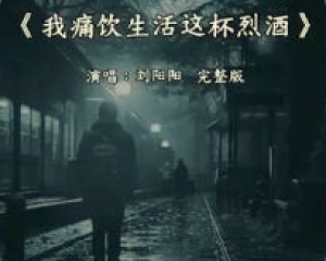 《我痛饮生活这杯烈酒》-刘阳阳-一曲感悟生活,一词安抚心伤