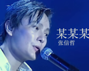 《某某某》张信哲-动画片<马可波罗回香都>主题曲【LRC歌词/高音质mp3/无损音乐flac】