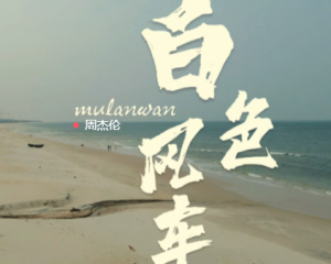 《白色风车》周杰伦【LRC歌词/mp3/无损音乐flac】