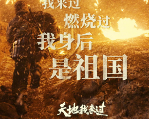 《天地我来过》韩磊版-电影<长津湖>片尾曲【LRC歌词/mp3/无损音乐flac】