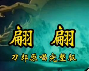 《翩翩》刀郎【LRC歌词/mp3/无损音乐flac】