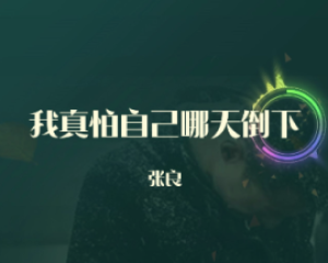 《我真怕自己哪天倒下》烟嗓男张良【LRC歌词/mp3/无损音乐flac】