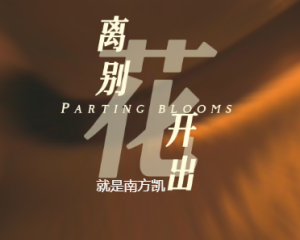 《离别开出花》就是南方凯【LRC歌词/mp3/无损音乐flac】