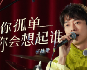 《当你孤单你会想起谁》张栋梁【LRC歌词/mp3/无损音乐flac】