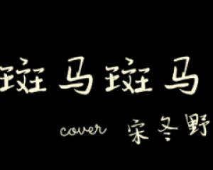 《斑马斑马》宋冬野【LRC歌词/mp3/无损音乐flac】
