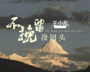 《不挽留没回头》王小乱【LRC歌词/mp3/无损音乐flac】