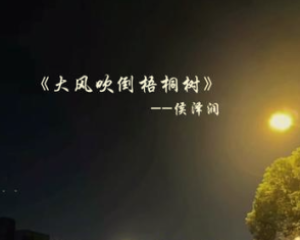 《大风吹倒梧桐树》侯泽润【LRC歌词/mp3/无损音乐flac】
