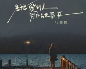《先说爱的人为什么先离开》田园【LRC歌词/mp3/无损音乐flac】