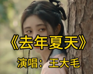 《去年夏天》王大毛【LRC歌词/mp3/无损音乐flac】