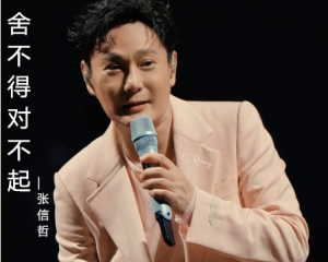 《舍不得对不起》张信哲【LRC歌词/mp3/无损音乐flac】