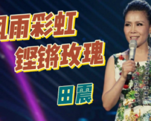 《风雨彩虹铿锵玫瑰》田震-中国女足队歌【LRC歌词/mp3/无损音乐flac】