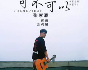《可不可以》张紫豪【LRC歌词/mp3/无损音乐flac】