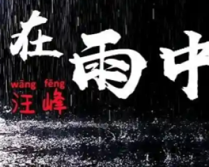 《在雨中》汪峰【LRC歌词/mp3/无损音乐flac】