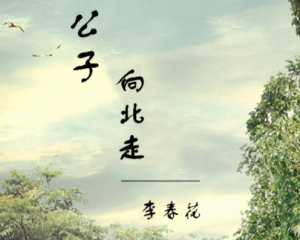 《公子向北走》李春花【LRC歌词/mp3/无损音乐flac】
