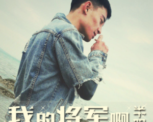《我的将军啊》半阳【LRC歌词/mp3/无损音乐flac】