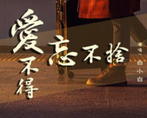 《爱不得忘不舍》白小白【LRC歌词/mp3/无损音乐flac】