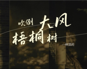 《大风吹倒梧桐树》侯泽润【LRC歌词/mp3/无损音乐flac】