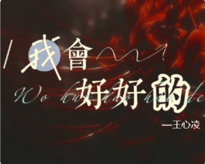 《我会好好的》王心凌【LRC歌词/mp3/无损音乐flac】