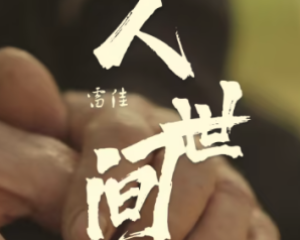 《人世间》雷佳-电视剧<人世间>主题曲【LRC歌词/mp3/无损音乐flac】