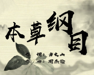 《本草纲目》周杰伦【LRC歌词/mp3/无损音乐flac】