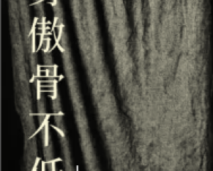 《一身傲骨不低头》阿斌斌【LRC歌词/mp3/无损音乐flac】