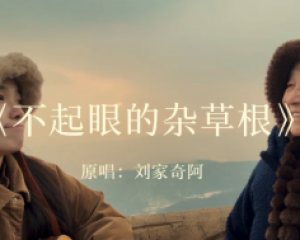 《不起眼的杂草根》刘家奇阿【LRC歌词/mp3/无损音乐flac】