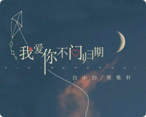 《我爱你不问归期》白小白【LRC歌词/mp3/无损音乐flac】
