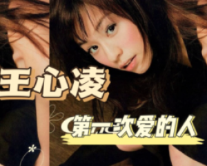 《第一次爱的人》王心凌【LRC歌词/mp3/无损音乐flac】