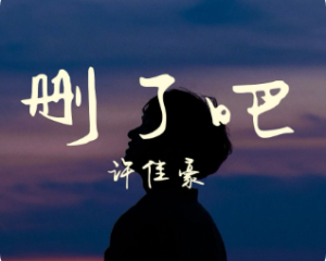 《删了吧》许佳豪【LRC歌词/mp3/无损音乐flac】