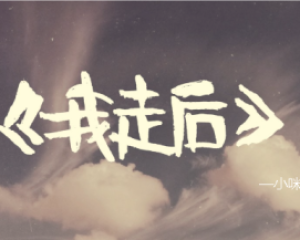 《我走后》小咪【LRC歌词/mp3/无损音乐flac】