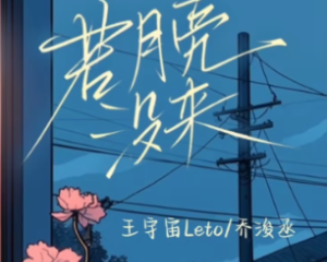 《若是月亮还没来》王宇宙Leto&乔浚丞【LRC歌词/mp3/无损音乐flac】