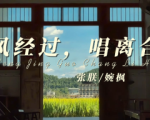 《风经过唱离合》婉枫&张朕【LRC歌词/mp3/无损音乐flac】
