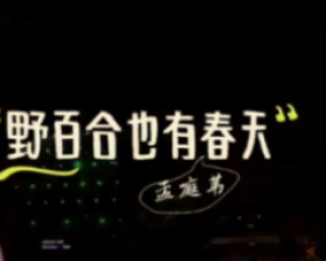 《野百合也有春天》孟庭苇【LRC歌词/mp3/无损音乐flac】