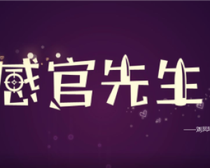 《感官先生》刘凤瑶【LRC歌词/mp3/无损音乐flac】