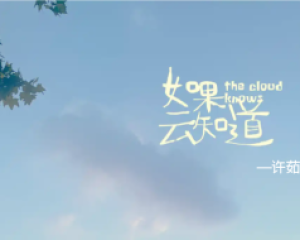 《如果云知道》许茹芸【LRC歌词/mp3/无损音乐flac】