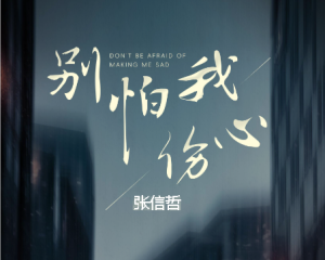 《别怕我伤心》张信哲【LRC歌词/mp3/无损音乐flac】