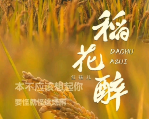 《稻花醉》红孩儿【LRC歌词/mp3/无损音乐flac】