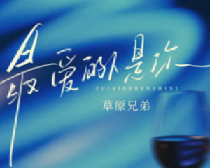 《最爱的人是你》草原兄弟【LRC歌词/mp3/无损音乐flac】