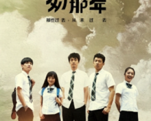 《匆匆那年》王菲 -电影《匆匆那年》同名主题曲【LRC歌词/mp3/无损音乐flac】