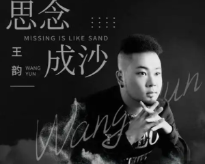 《思念成沙》- 王韵【LRC歌词/mp3/无损音乐flac】
