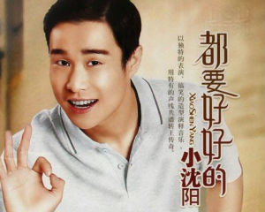 《都要好好的》 – 沈春阳&小沈阳【LRC歌词/mp3/无损音乐flac】